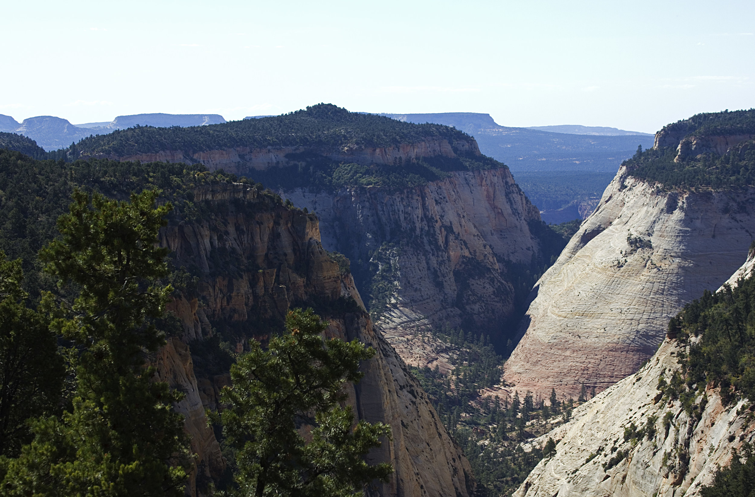 East rim camp area zion top